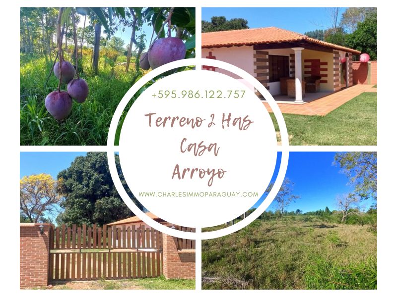 TERRENO 2 HAS + CASA EN LA COLMENA - 1