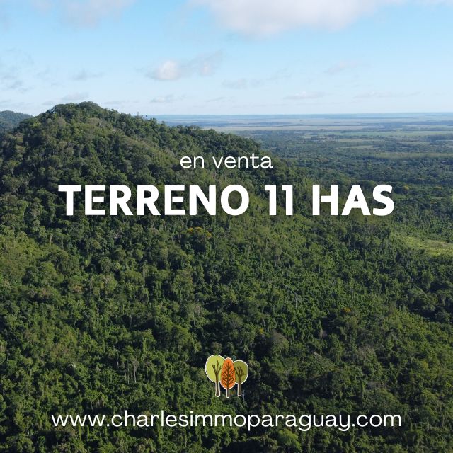En venta Terreno 11 Hectáreas 1.541m² - La Colmena - 1