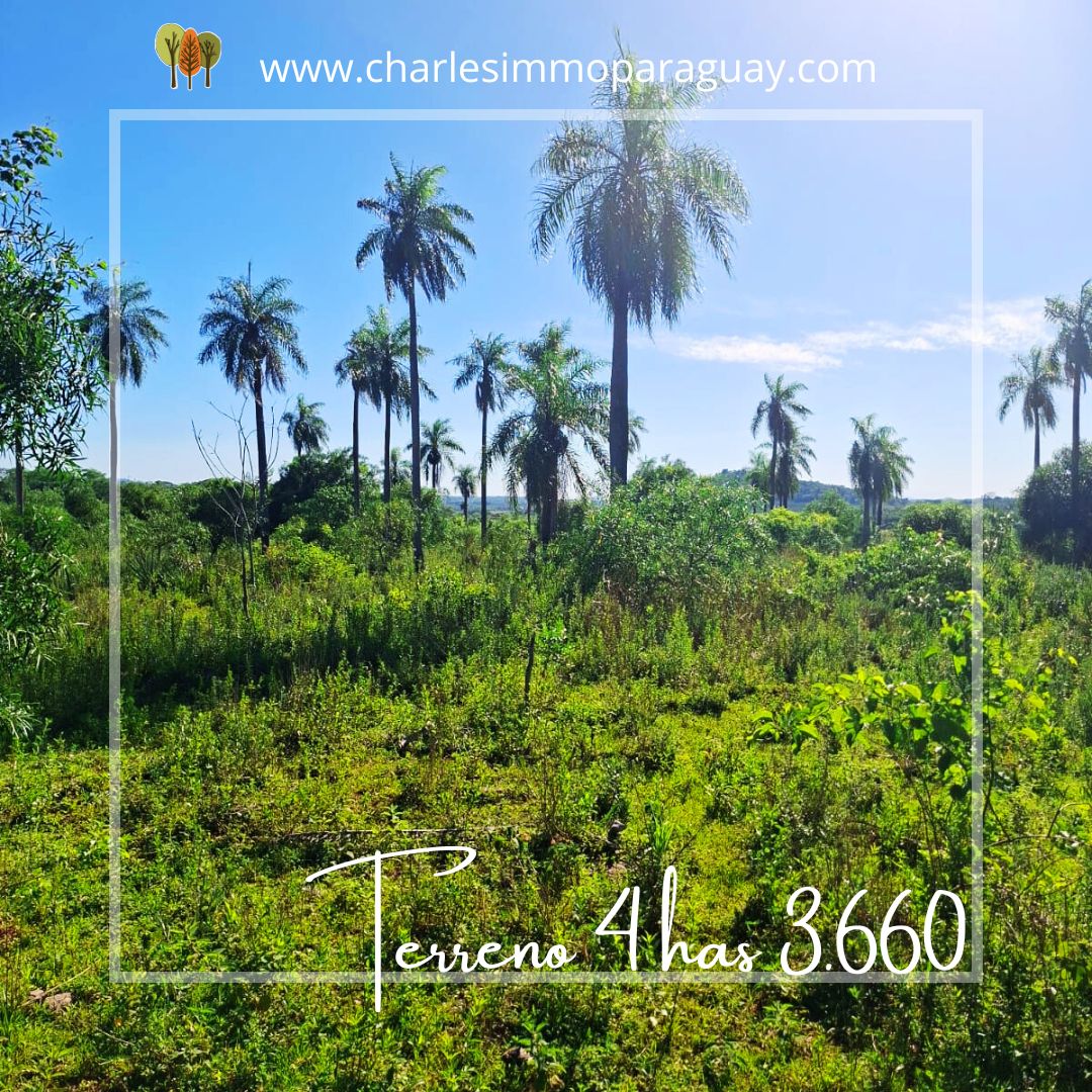 Hermoso Terreno en Venta – 4,36 Hectáreas – La Colmena - 1