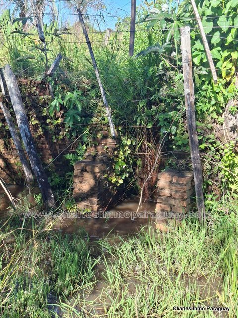 Hermoso Terreno en Venta – 4,36 Hectáreas – La Colmena - 2