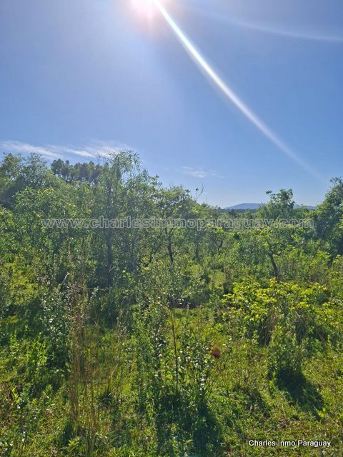 Hermoso Terreno en Venta – 4,36 Hectáreas – La Colmena - 4