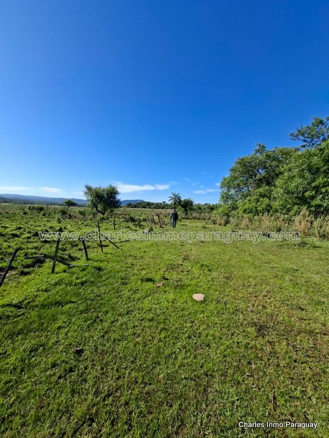 Hermoso Terreno en Venta – 4,36 Hectáreas – La Colmena - 5