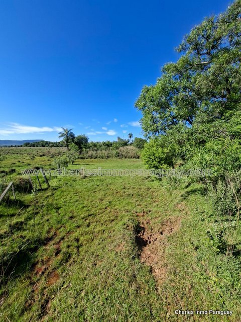 Hermoso Terreno en Venta – 4,36 Hectáreas – La Colmena - 6