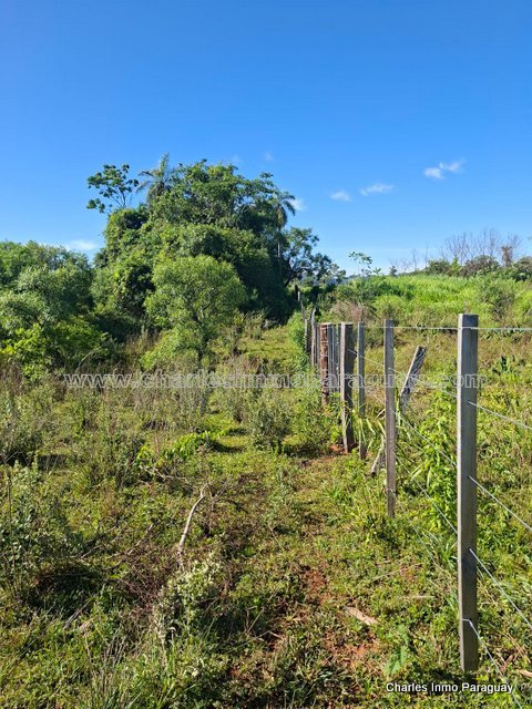 Hermoso Terreno en Venta – 4,36 Hectáreas – La Colmena - 11