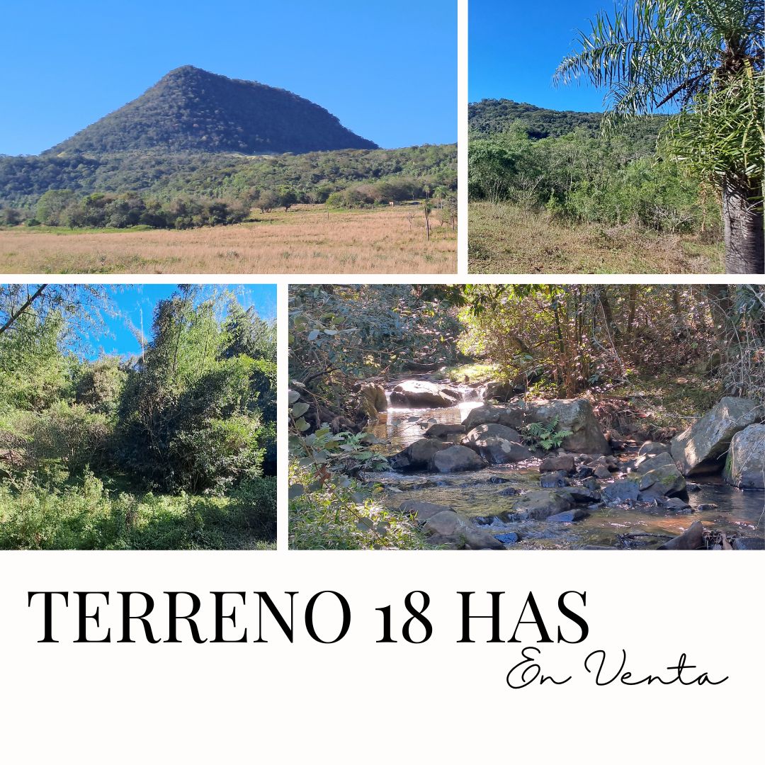 En venta Terreno 18 hectáreas zona La Colmena - 1
