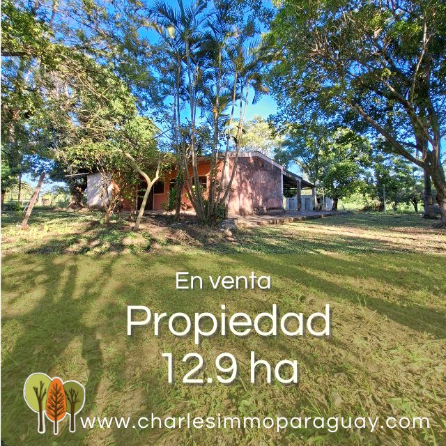 En venta Quinta 12,9 ha con casa – La Colmena - 1
