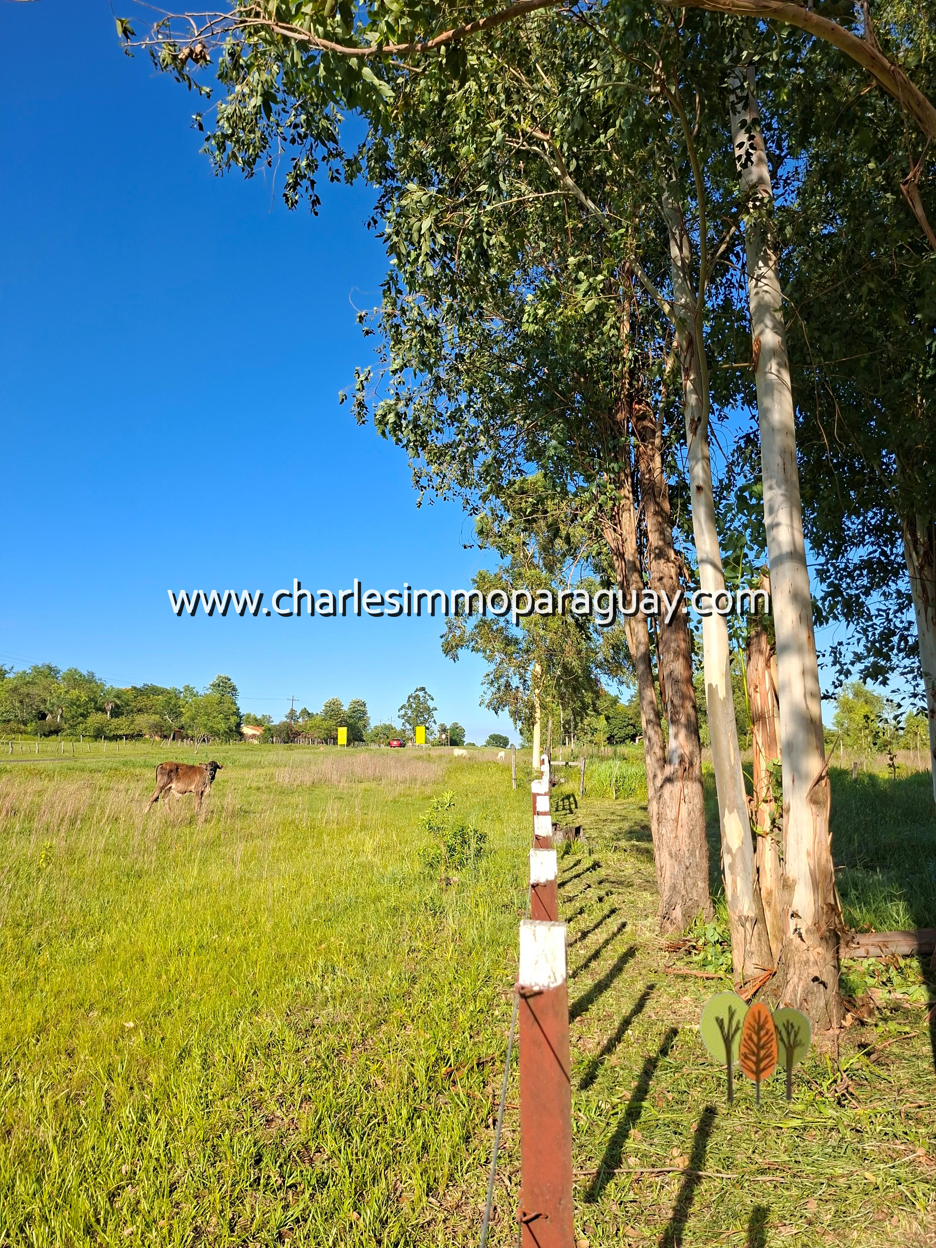 En venta Quinta 12,9 ha con casa – La Colmena - 7