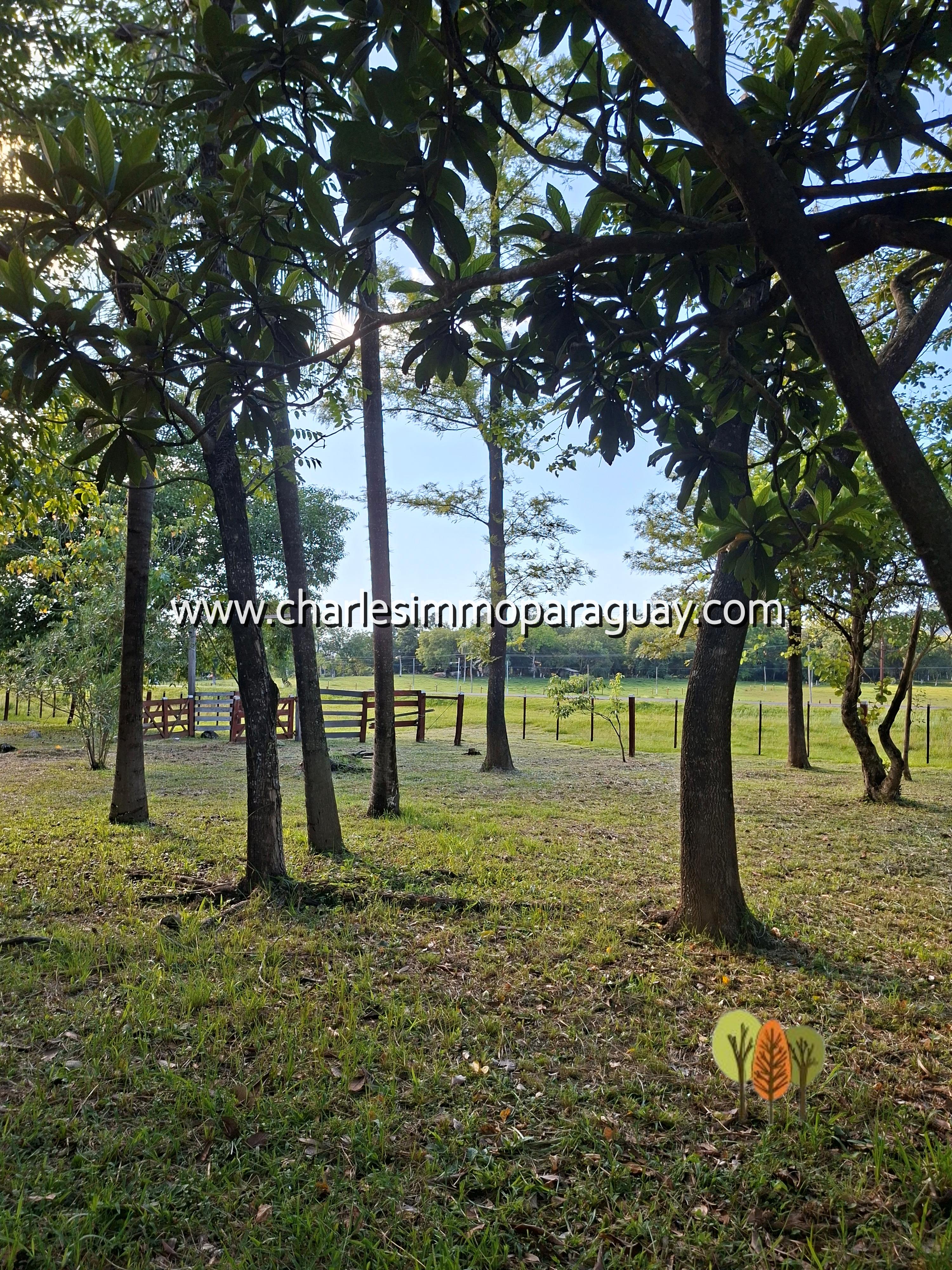 En venta Quinta 12,9 ha con casa – La Colmena - 8