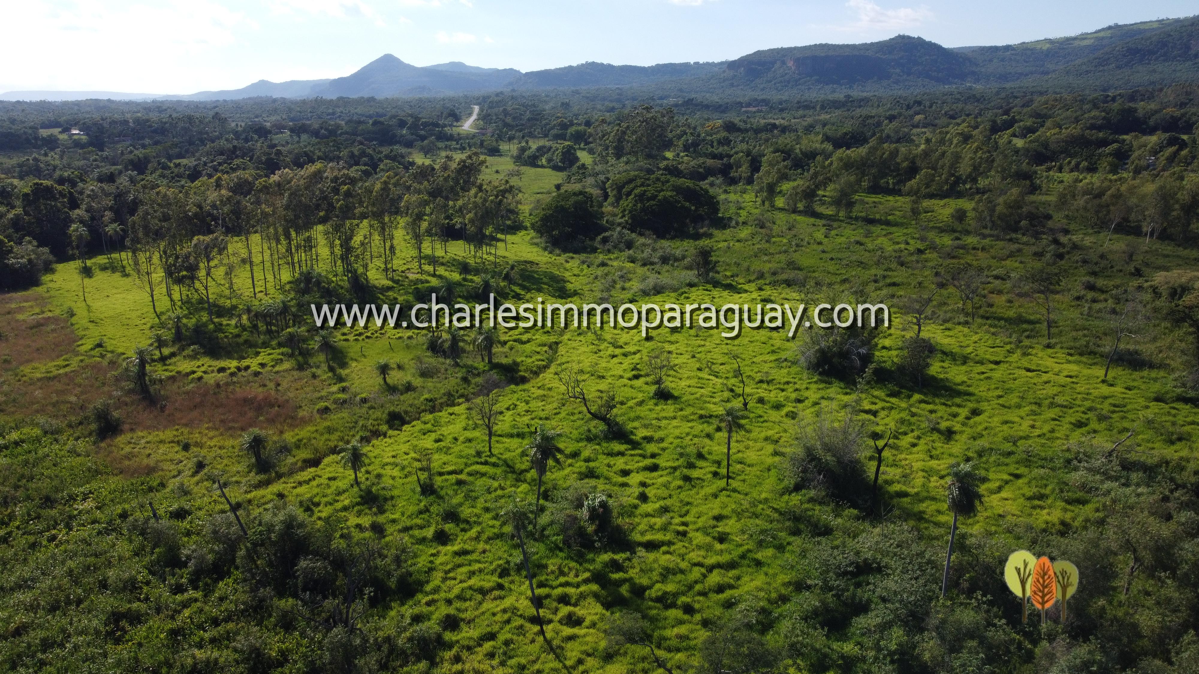 En venta Quinta 12,9 ha con casa – La Colmena - 9