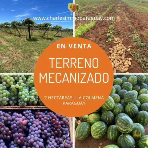 Terreno agrícola de 7 hectáreas en venta – La Colmena - 1