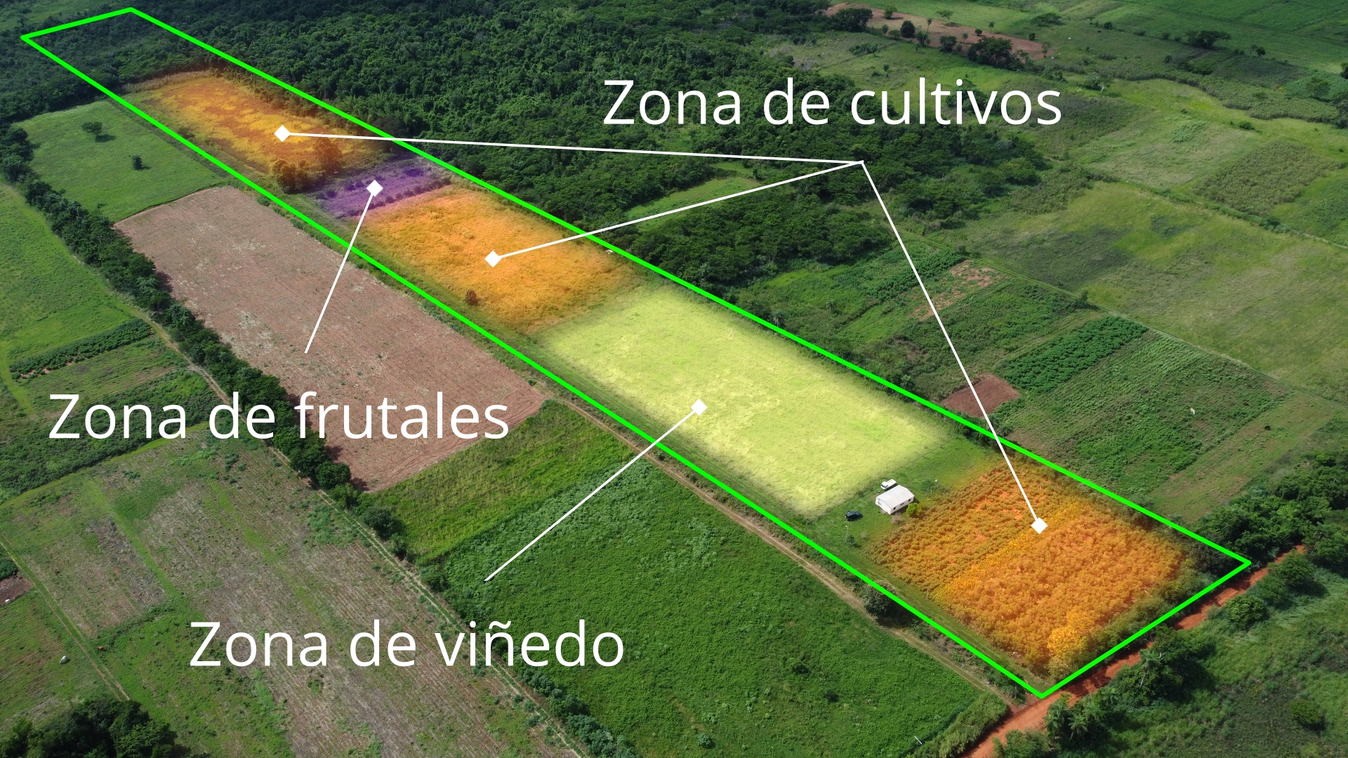Terreno agrícola de 7 hectáreas en venta – La Colmena - 2