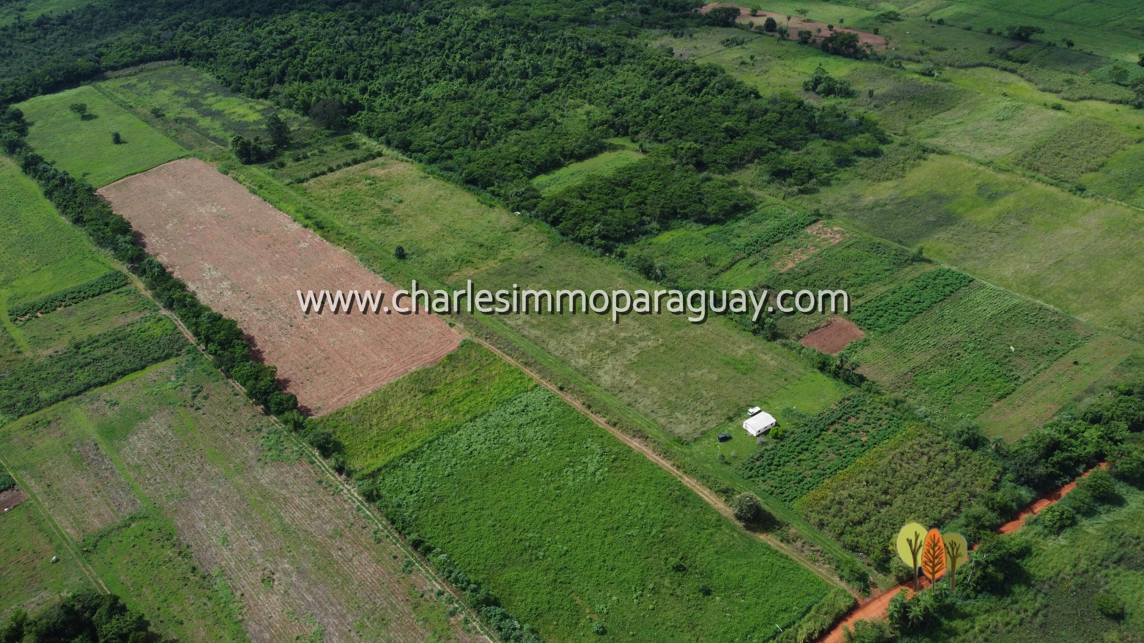 Terreno agrícola de 7 hectáreas en venta – La Colmena - 5