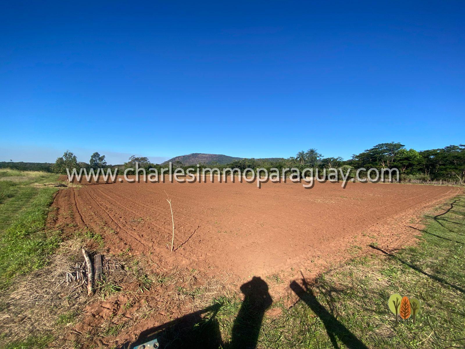 Terreno agrícola de 7 hectáreas en venta – La Colmena - 6