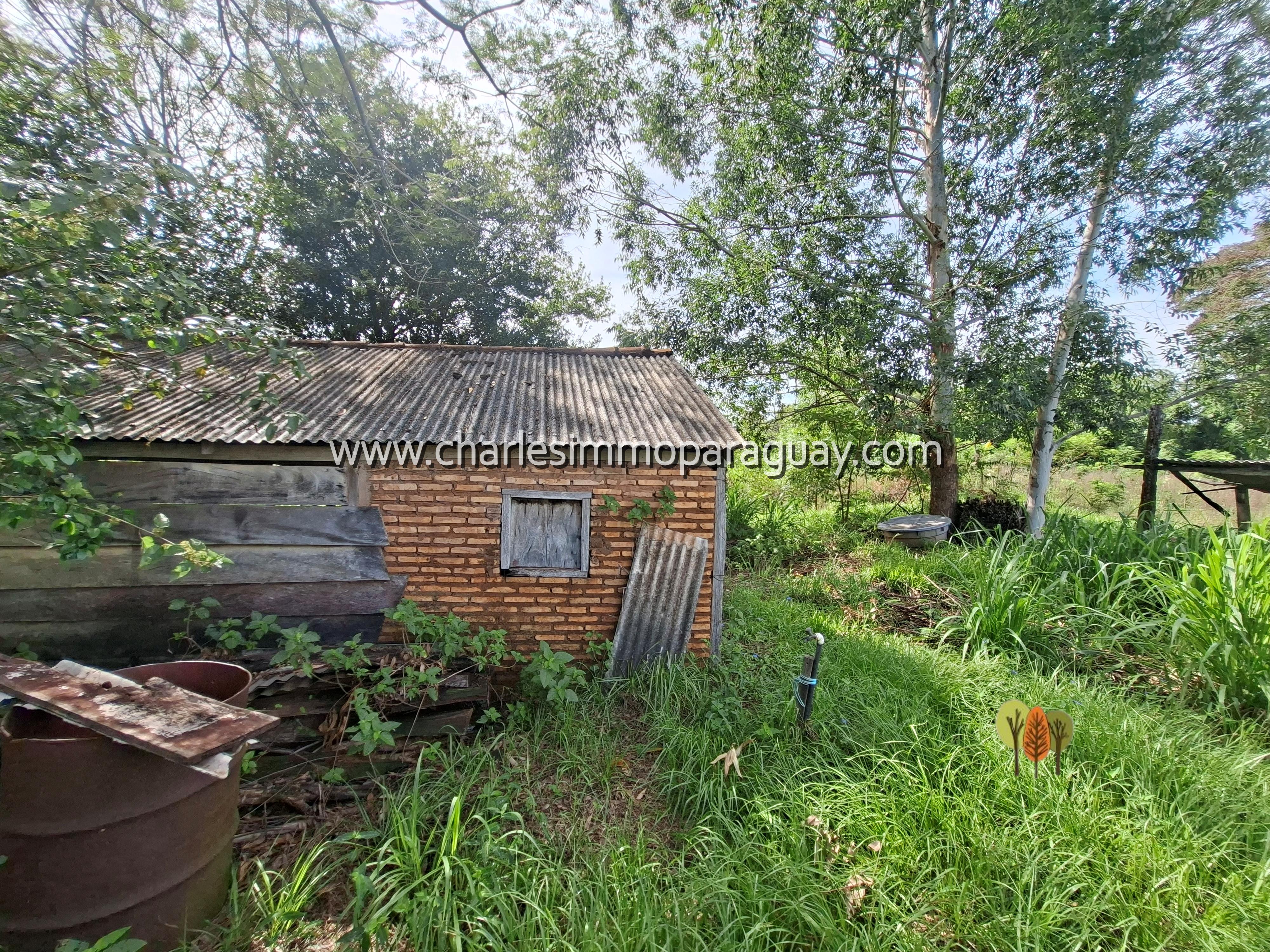 Terreno agrícola de 7 hectáreas en venta – La Colmena - 13