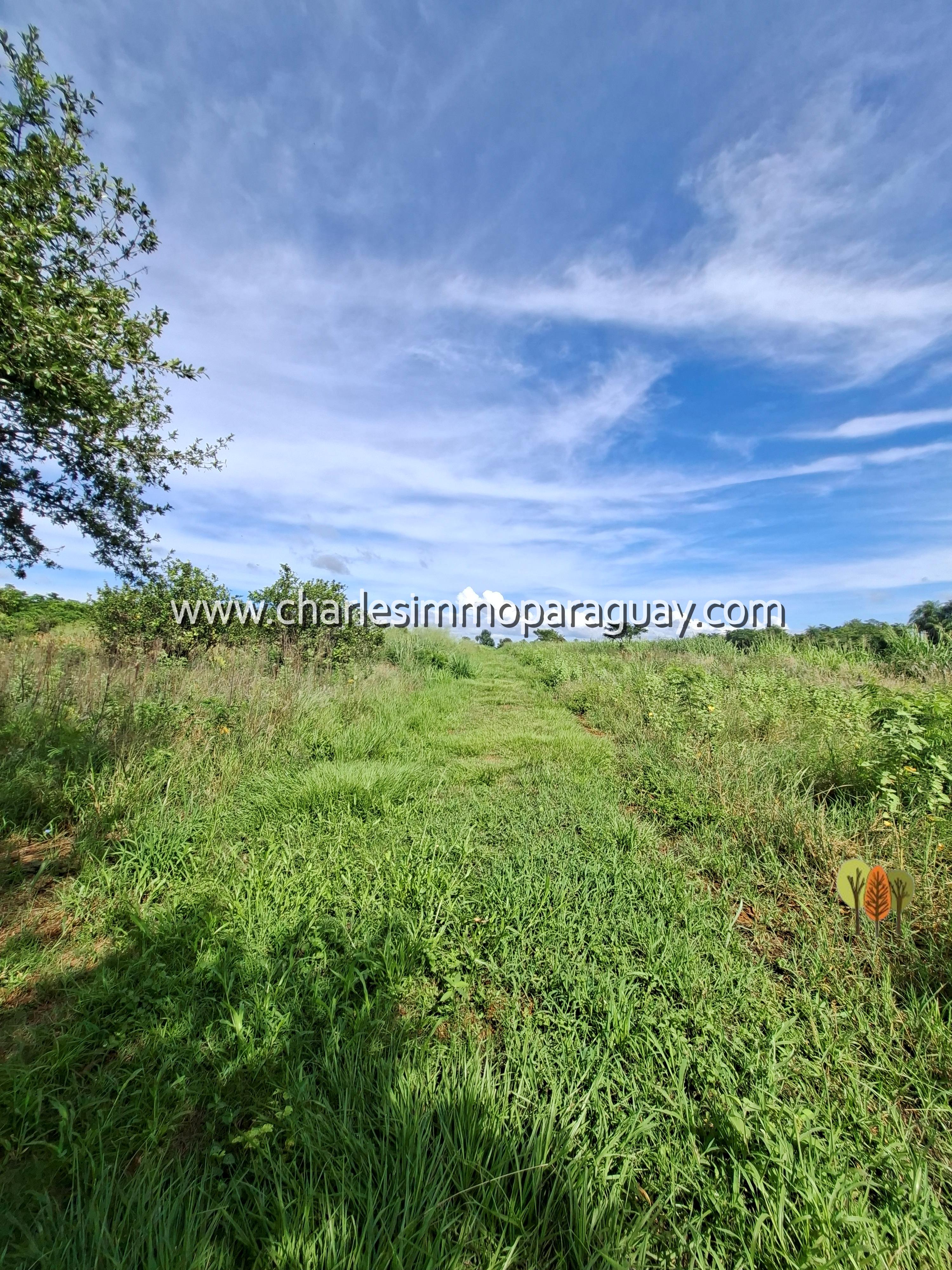 Terreno agrícola de 7 hectáreas en venta – La Colmena - 15