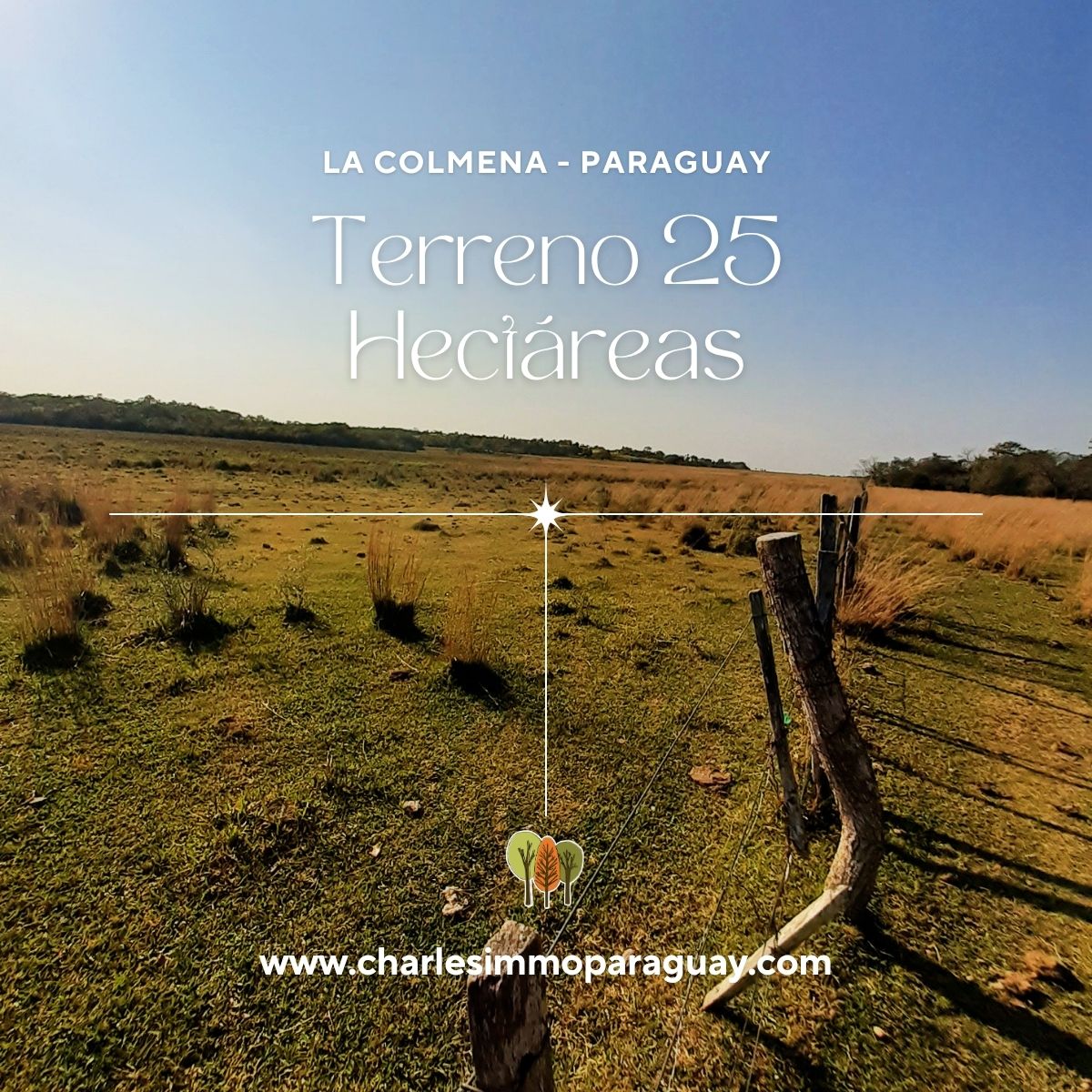 TERRENO EN VENTA — 25 HECTÁREAS CON ARROYO - TEBICUARY - 1