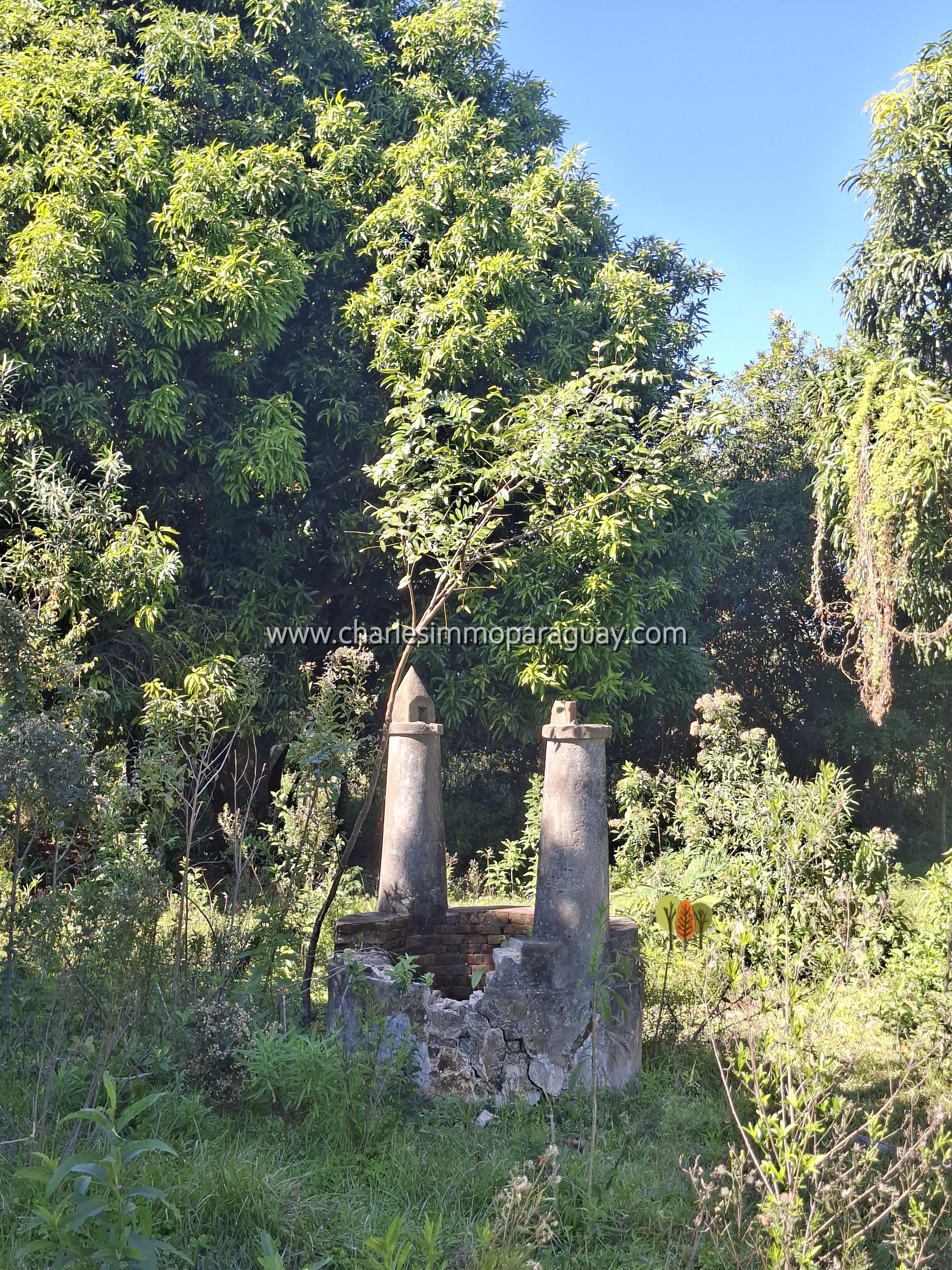 TERRENO EN VENTA — 25 HECTÁREAS CON ARROYO - TEBICUARY - 5