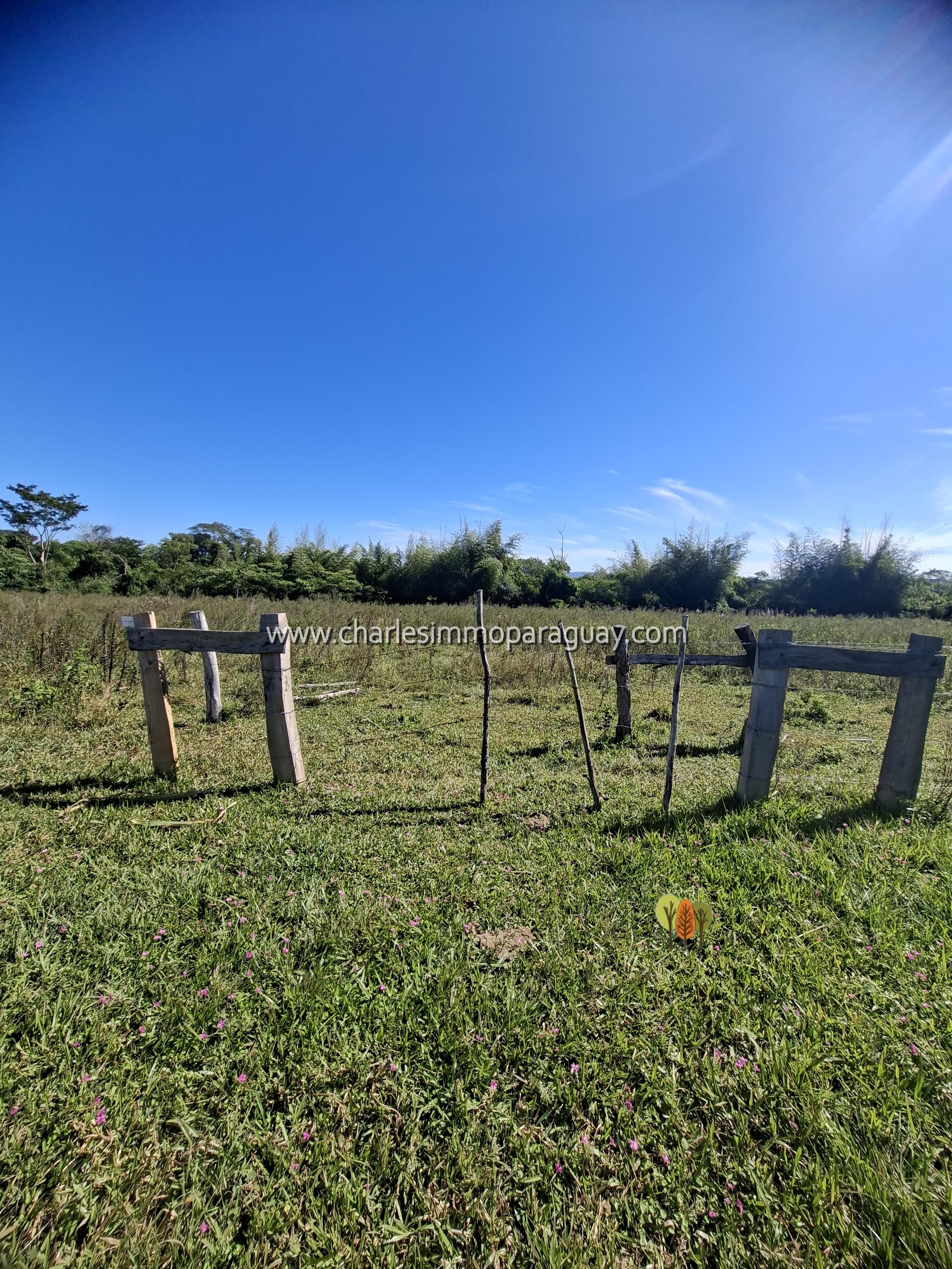 TERRENO EN VENTA — 25 HECTÁREAS CON ARROYO - TEBICUARY - 9