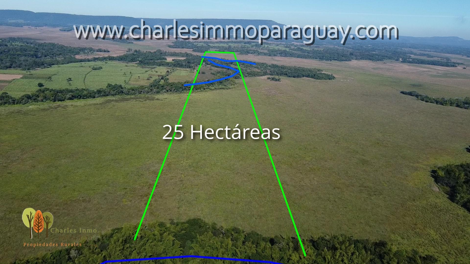 TERRENO EN VENTA — 25 HECTÁREAS CON ARROYO - TEBICUARY - 11