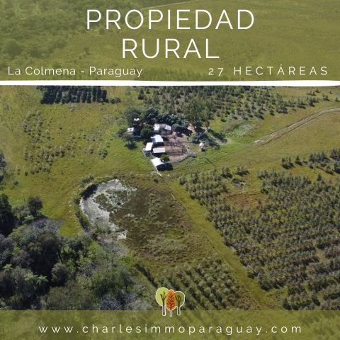 Estancia de 27 hectáreas en venta – La Colmena - 1