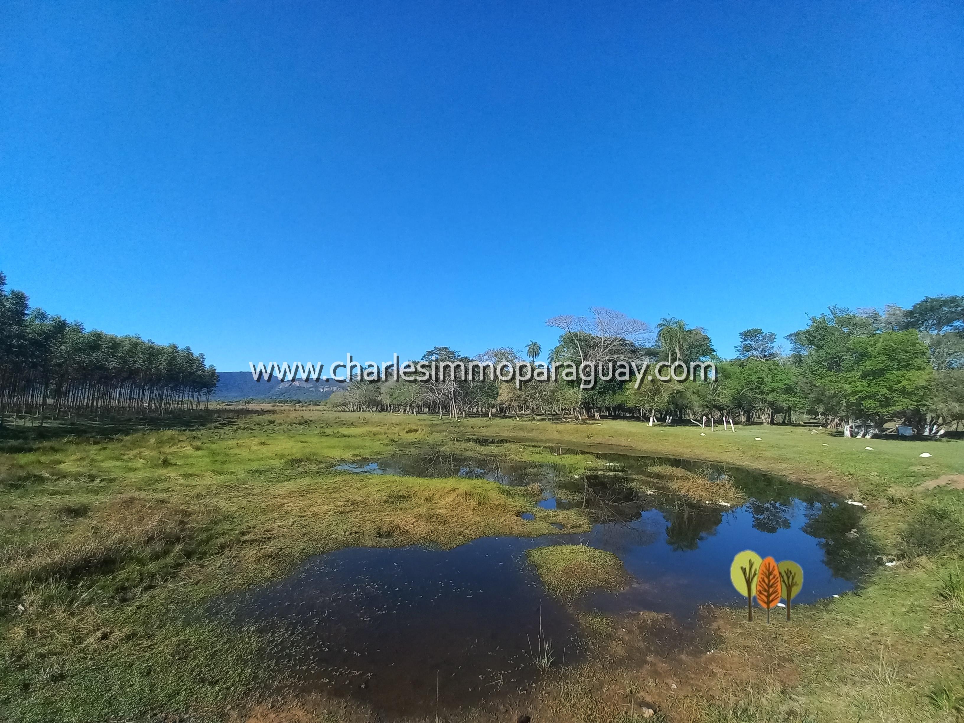 Estancia de 27 hectáreas en venta – La Colmena - 2