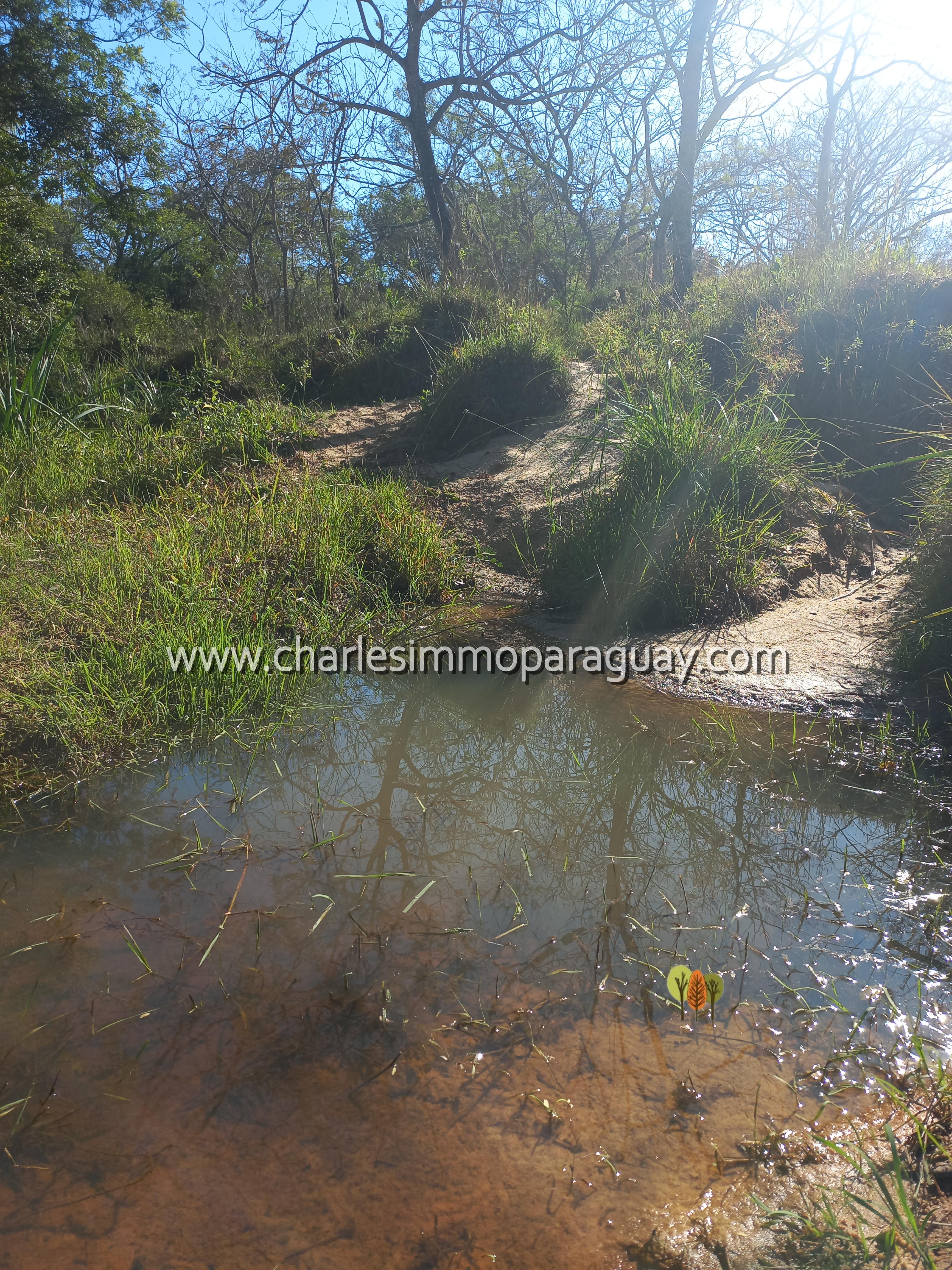 Estancia de 27 hectáreas en venta – La Colmena - 4