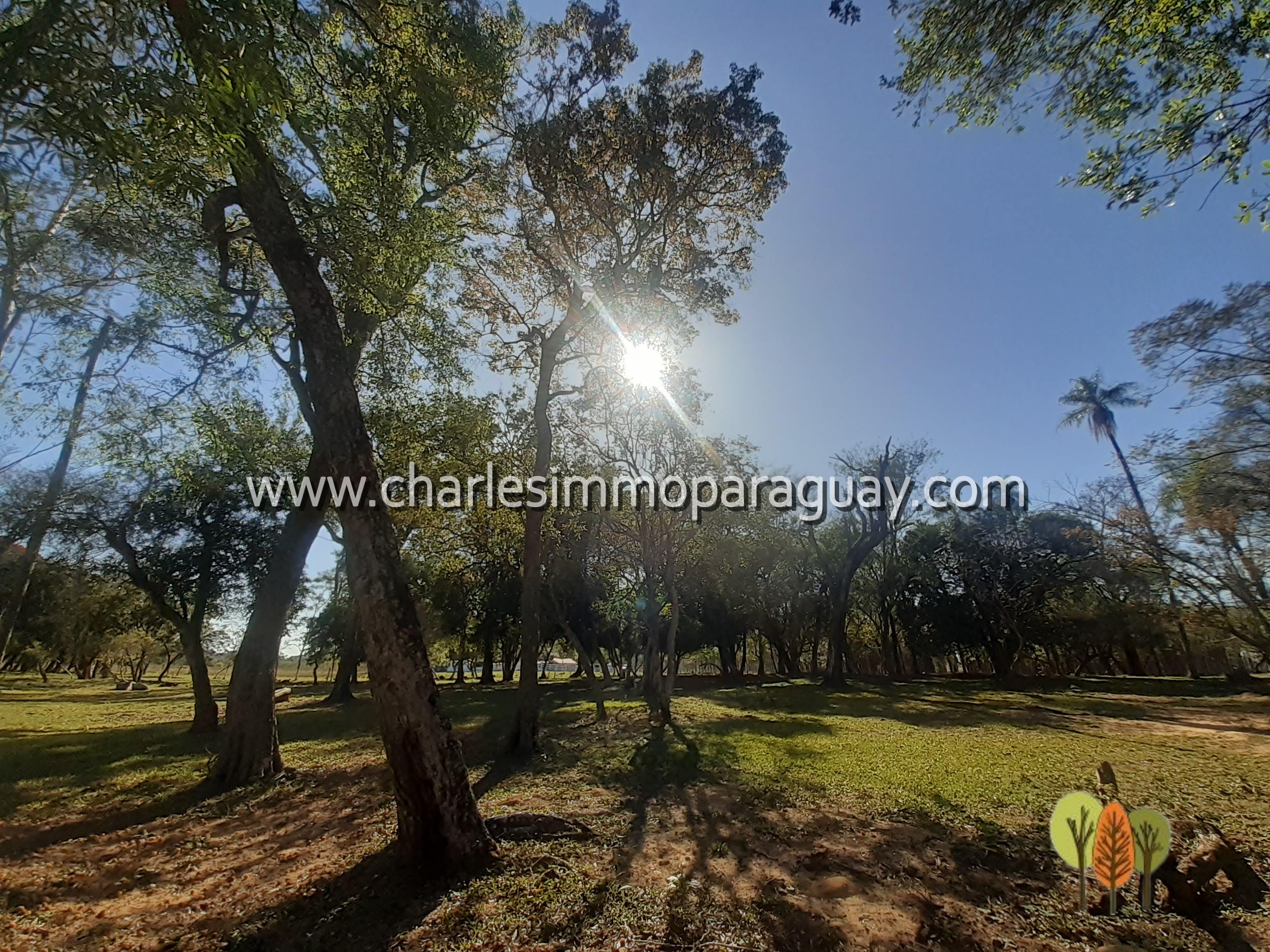 Estancia de 27 hectáreas en venta – La Colmena - 5