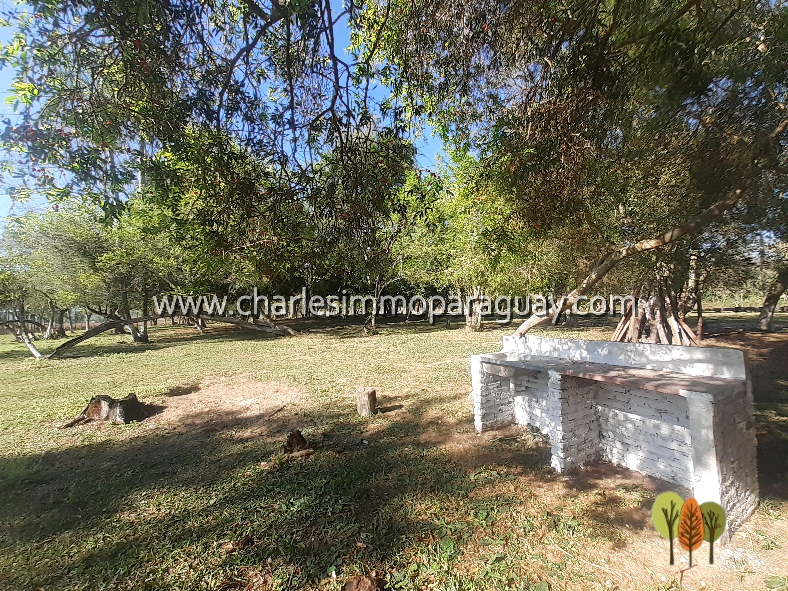 Estancia de 27 hectáreas en venta – La Colmena - 6