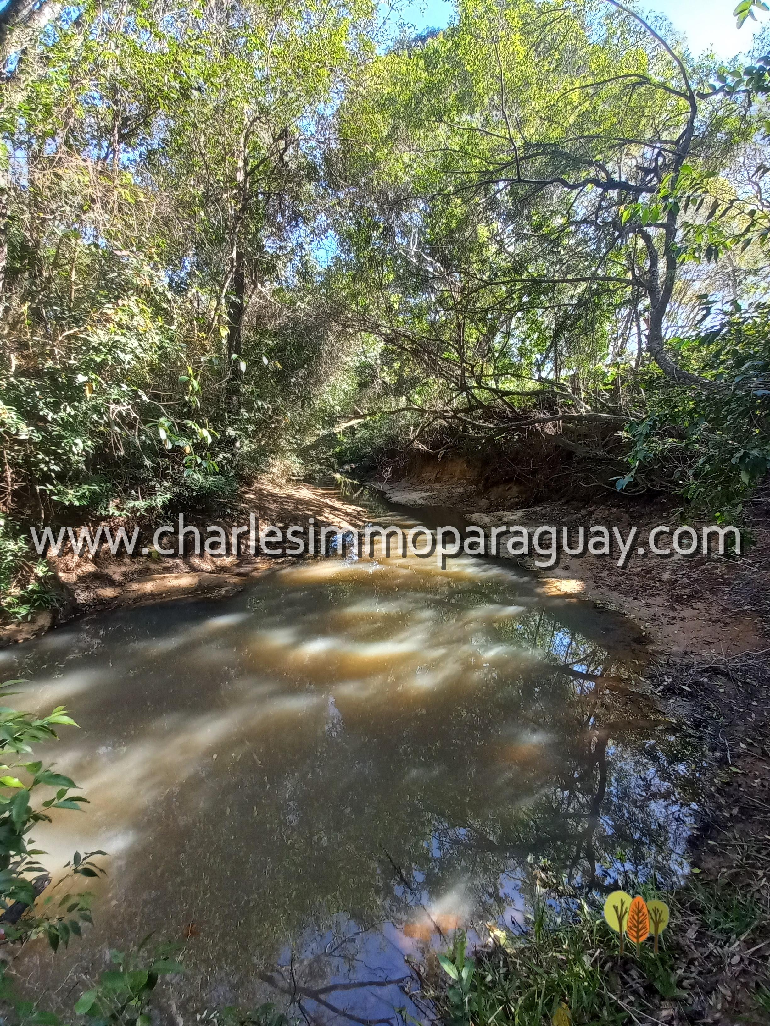 Estancia de 27 hectáreas en venta – La Colmena - 7