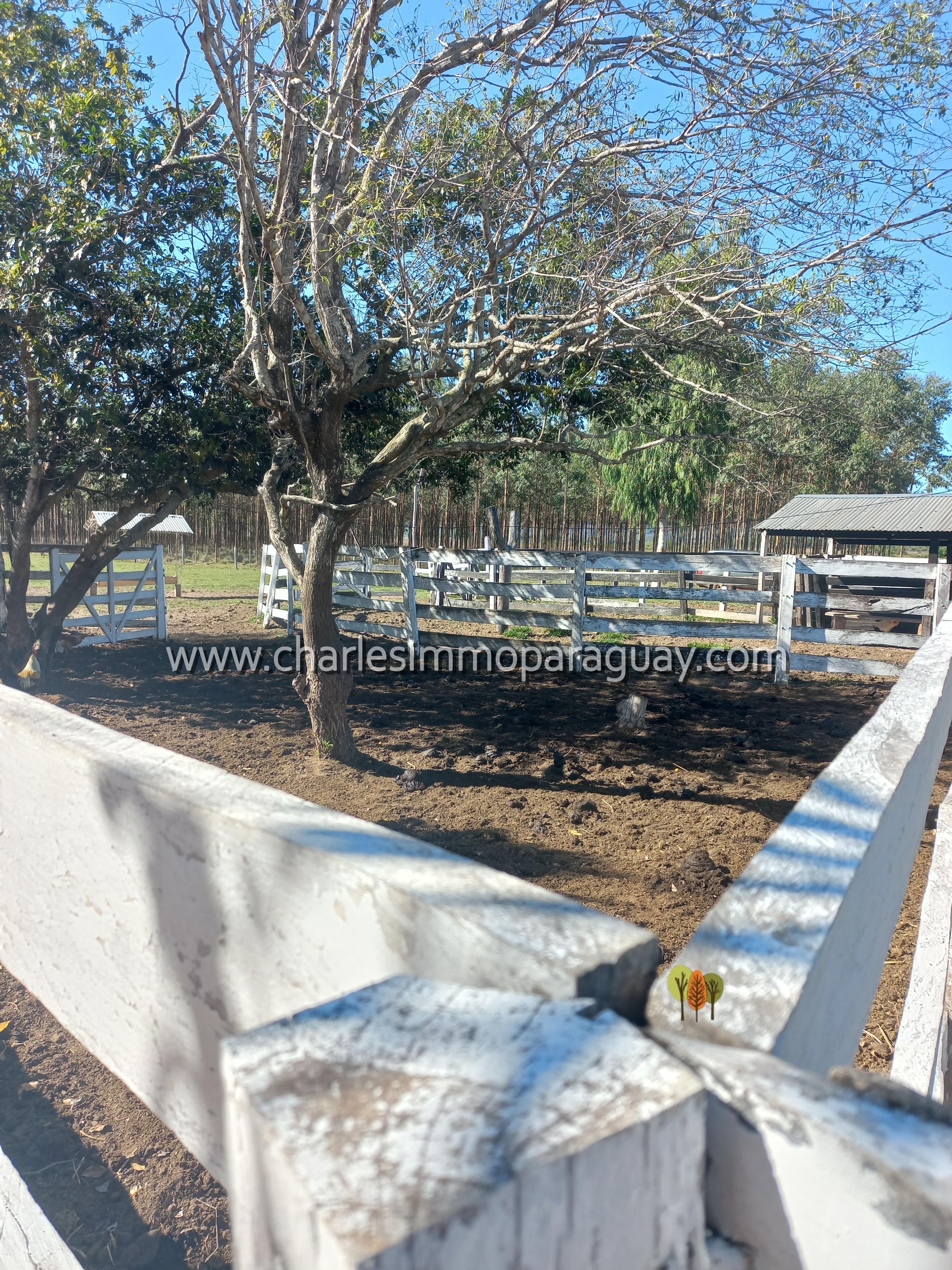 Estancia de 27 hectáreas en venta – La Colmena - 9