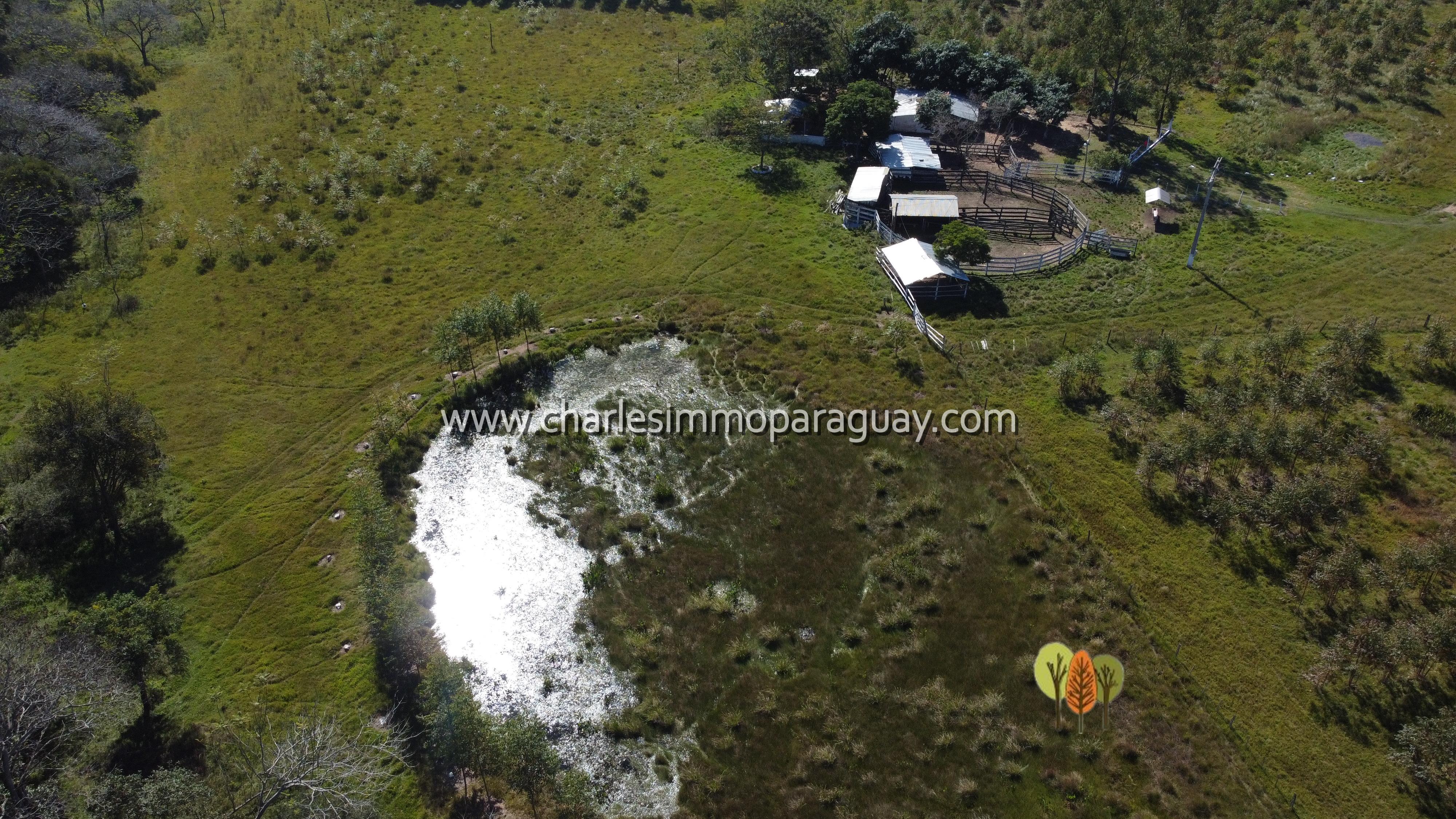 Estancia de 27 hectáreas en venta – La Colmena - 11