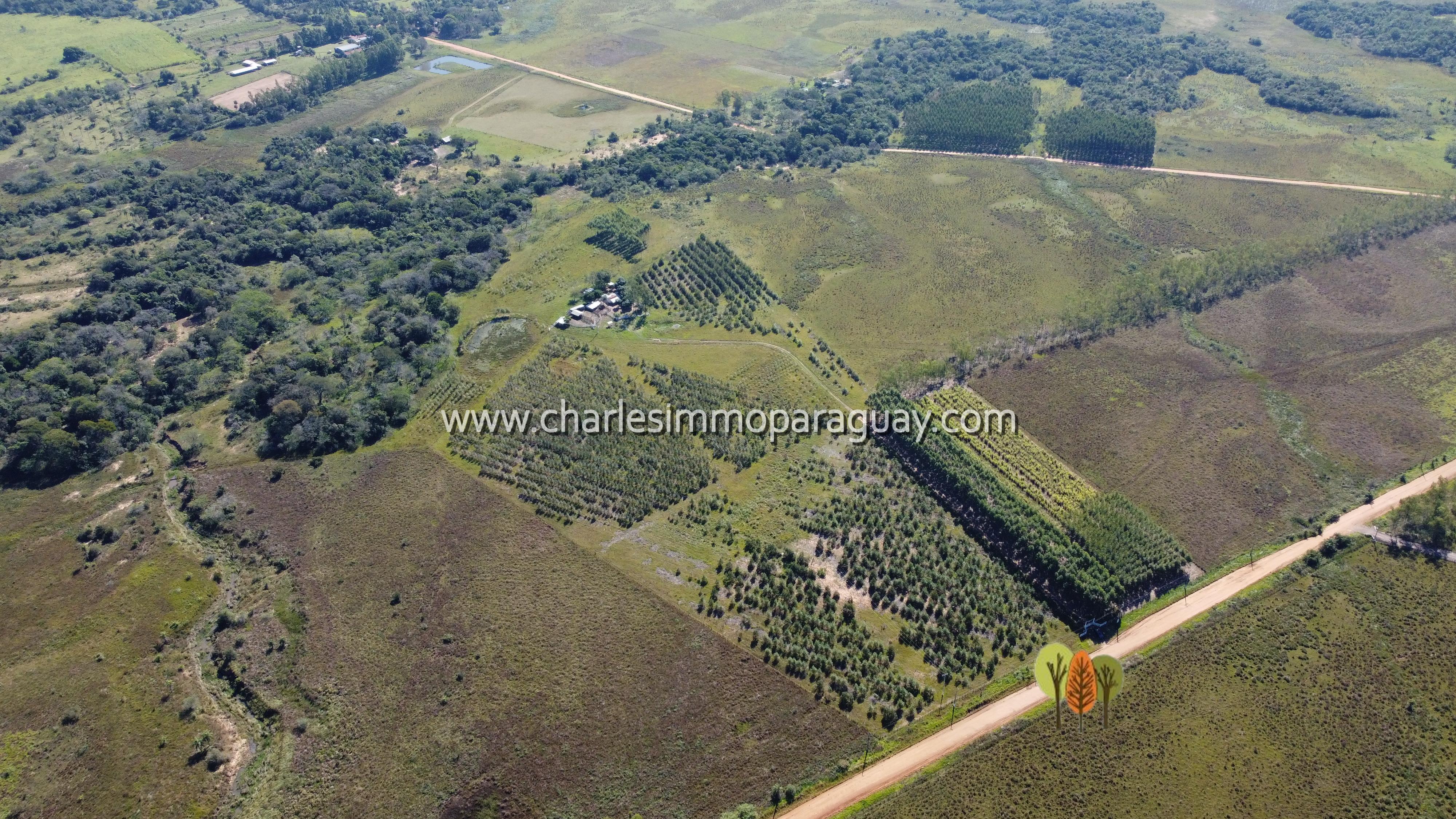 Estancia de 27 hectáreas en venta – La Colmena - 12