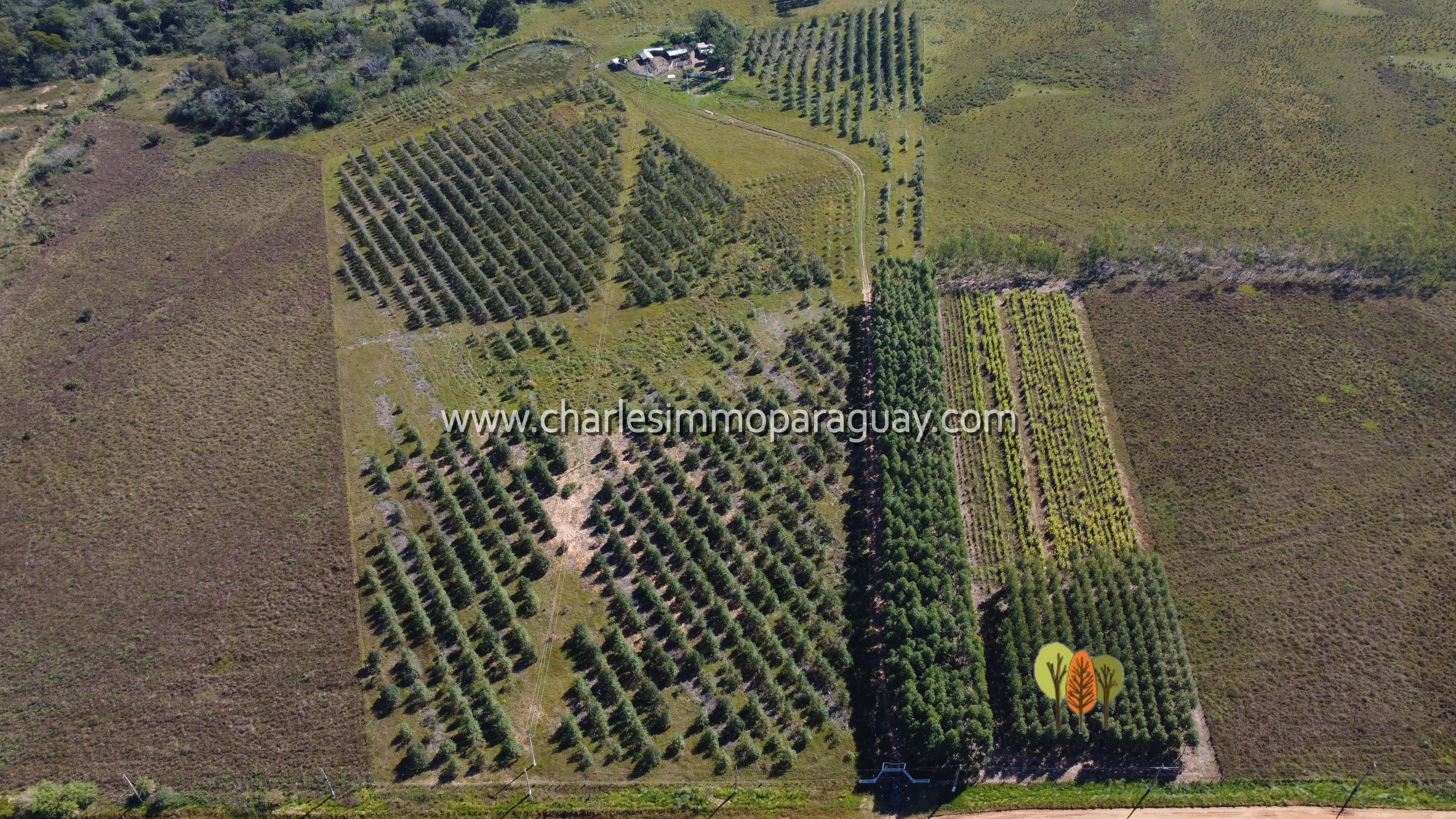 Estancia de 27 hectáreas en venta – La Colmena - 13
