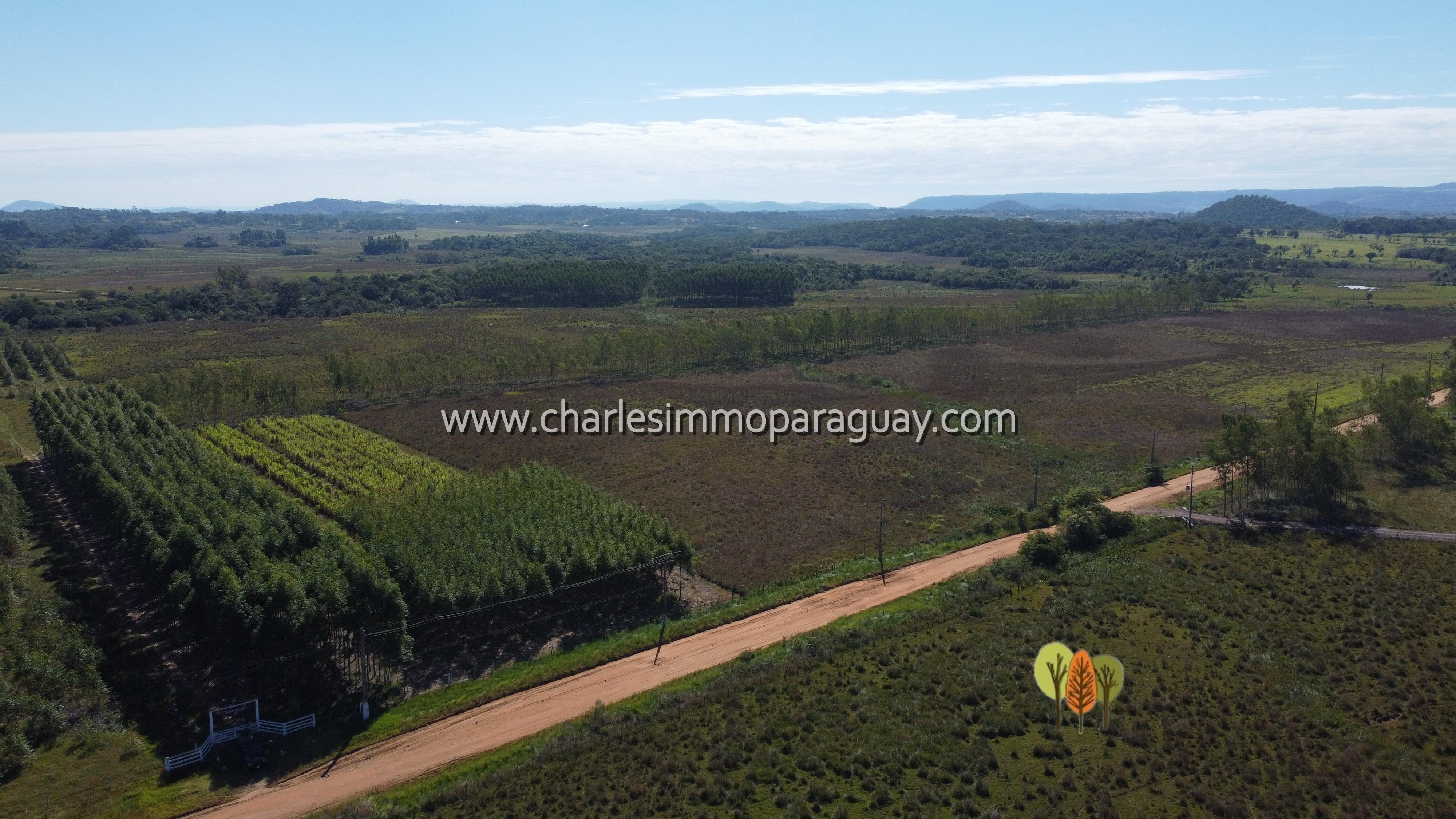 Estancia de 27 hectáreas en venta – La Colmena - 15