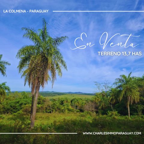 Terreno de 13,7 hectáreas en venta – Vista panorámica, bosque y arroyo – La Colmena - 1