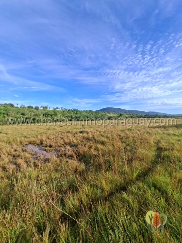 Terreno de 13,7 hectáreas en venta – Vista panorámica, bosque y arroyo – La Colmena - 2