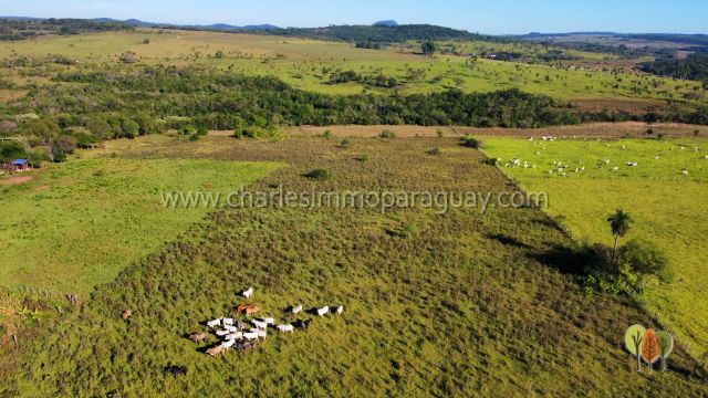 Terreno de 13,7 hectáreas en venta – Vista panorámica, bosque y arroyo – La Colmena - 3