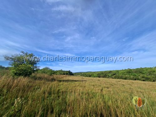 Terreno de 13,7 hectáreas en venta – Vista panorámica, bosque y arroyo – La Colmena - 6
