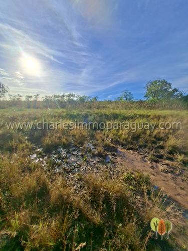Terreno de 13,7 hectáreas en venta – Vista panorámica, bosque y arroyo – La Colmena - 7