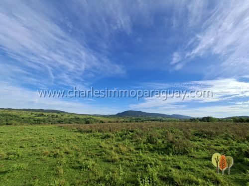 Terreno de 13,7 hectáreas en venta – Vista panorámica, bosque y arroyo – La Colmena - 8