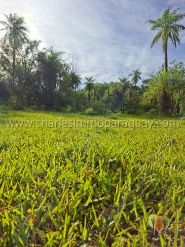 Terreno de 13,7 hectáreas en venta – Vista panorámica, bosque y arroyo – La Colmena - 9