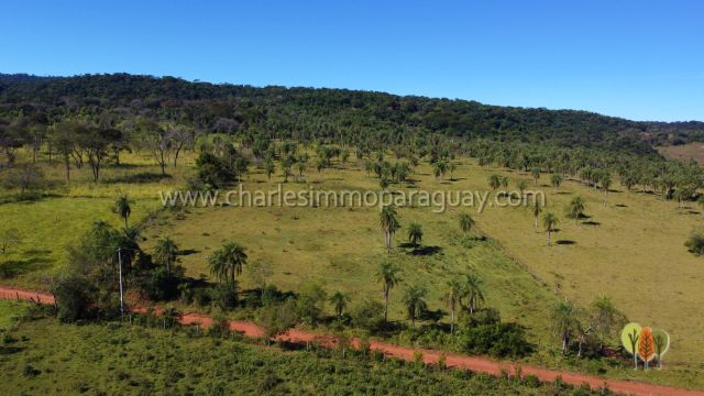 Terreno de 13,7 hectáreas en venta – Vista panorámica, bosque y arroyo – La Colmena - 10