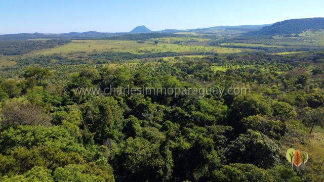 Terreno de 13,7 hectáreas en venta – Vista panorámica, bosque y arroyo – La Colmena - 11