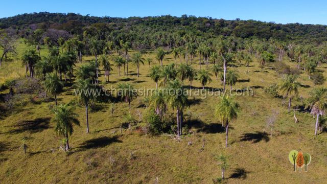 Terreno de 13,7 hectáreas en venta – Vista panorámica, bosque y arroyo – La Colmena - 12