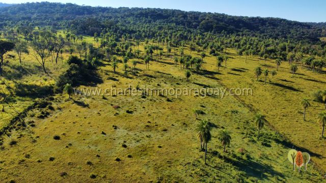 Terreno de 13,7 hectáreas en venta – Vista panorámica, bosque y arroyo – La Colmena - 13