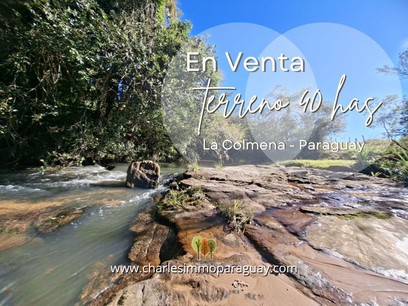 Terreno 40 Hectáreas con Arroyo - La Colmena - 1