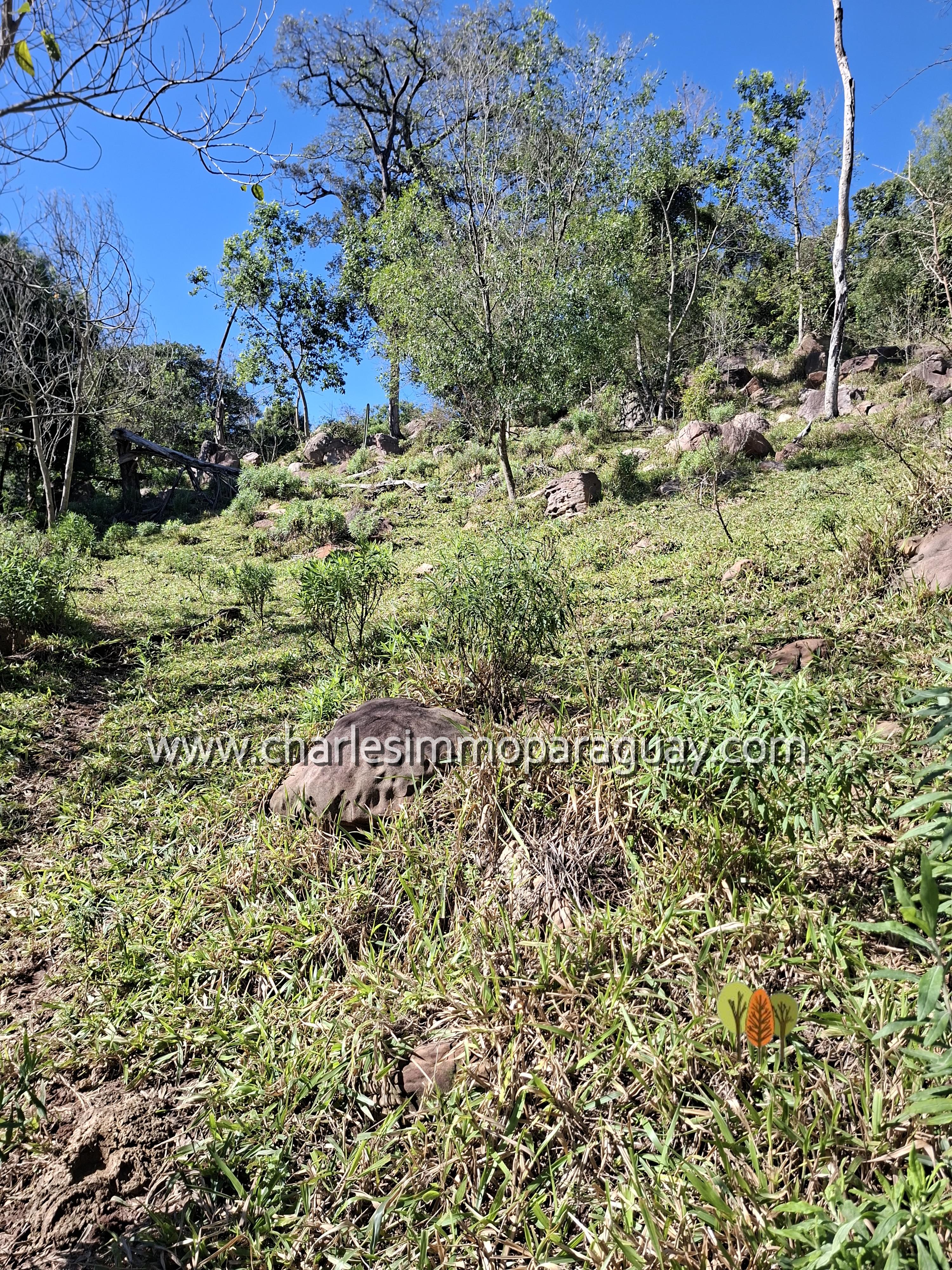 Terreno 40 Hectáreas con Arroyo - La Colmena - 10