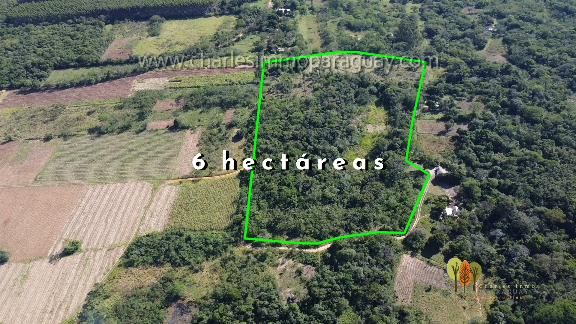 Terreno de 6 hectáreas en venta – La Colmena, Paraguay - imagen 2