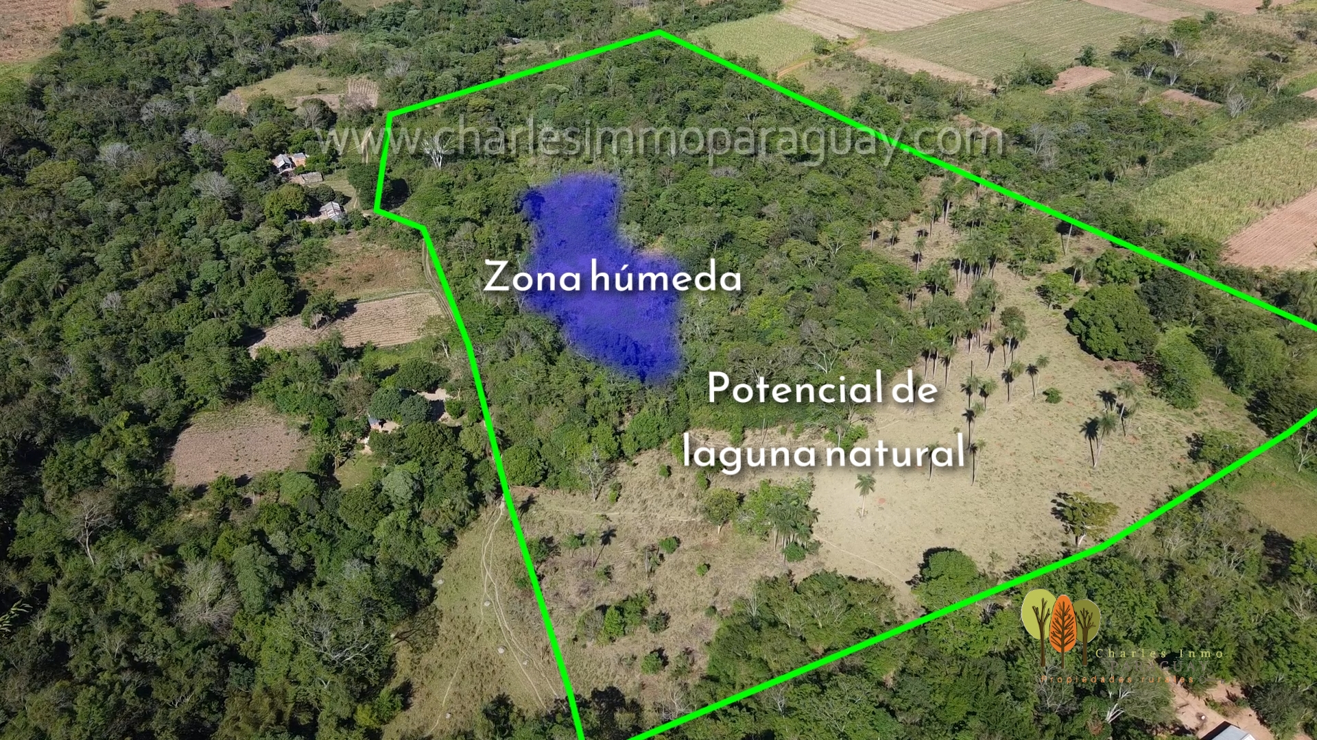 Terreno de 6 hectáreas en venta – La Colmena, Paraguay - imagen 5