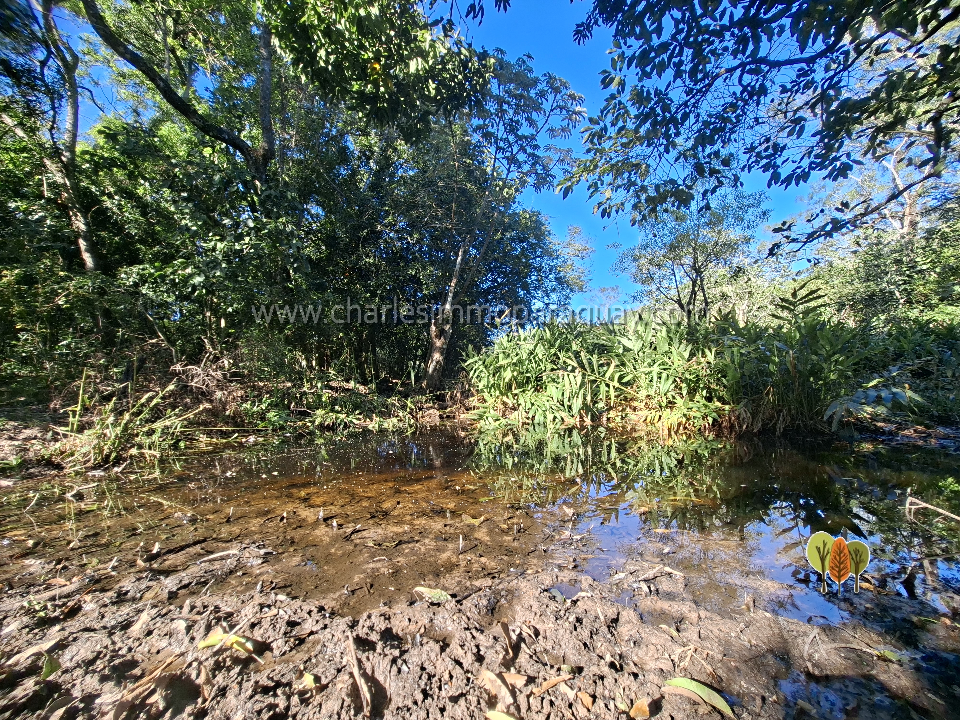 Terreno de 6 hectáreas en venta – La Colmena, Paraguay - imagen 7